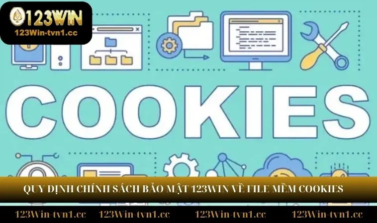 Quy định chính sách bảo mật 123WIN về file mềm cookies 